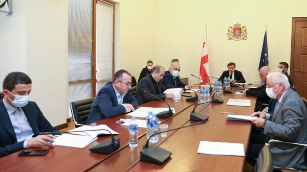 Заседание комитета по делам спорта и молодежи парламента Грузии - Sputnik Грузия