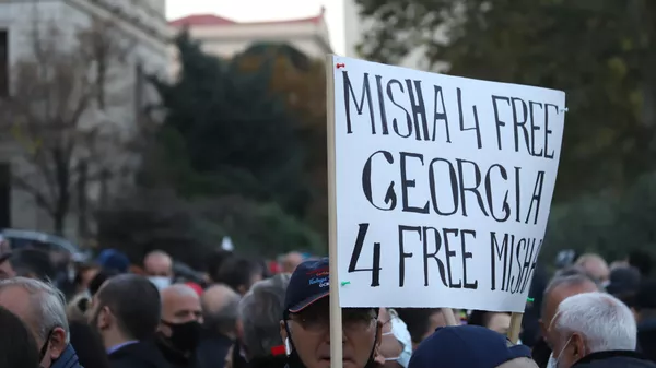 Акция протеста сторонников ЕНД и оппозиции у парламента с требованием освободить Михаила Саакашвили - Sputnik Грузия
