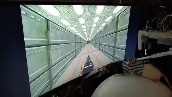 ვირთხებს კომპიუტერული თამაშების თამაში ასწავლეს - ვიდეო - Sputnik საქართველო