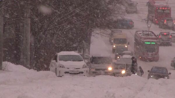 Снежный циклон нарушил транспортное сообщение с семью поселками в двух районах Хабаровского края - Sputnik Грузия