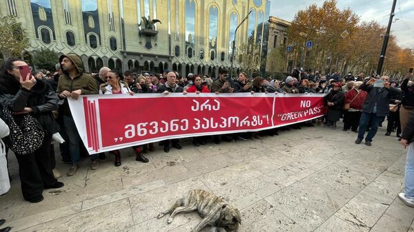 Акция в столице Грузии против ковид паспортов и ковид ограничений 28 ноября 2021 года - Sputnik Грузия