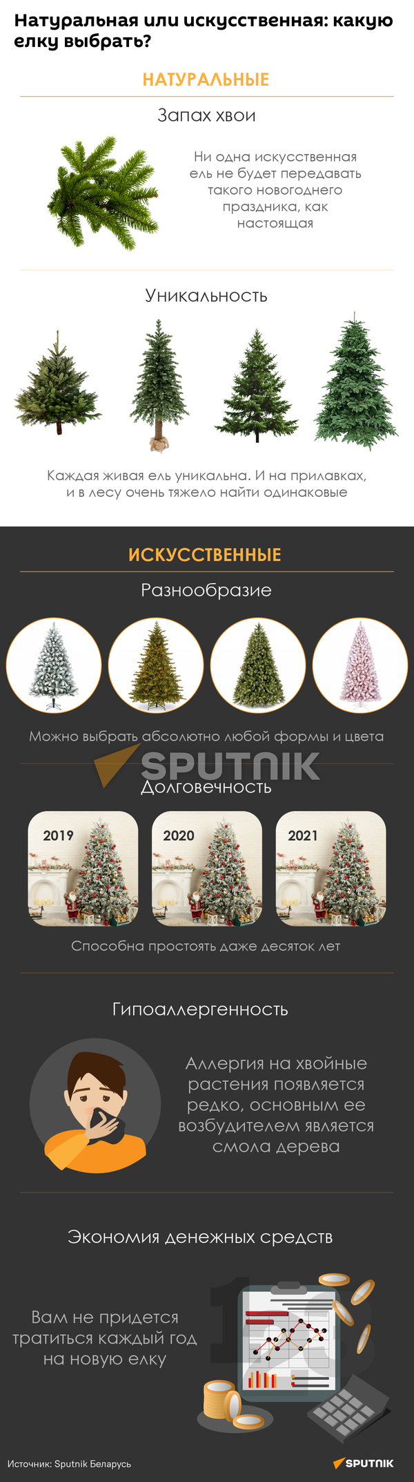 Какую елку выбрать - инфографика - Sputnik Грузия