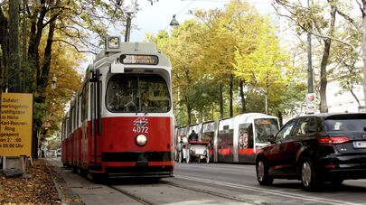 Вена - город любви