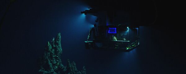 წყალქვეშა აპარატი მარიანის ღრმულში წყალქვეშა აპარატი მარიანის ღრმულში - Sputnik საქართველო