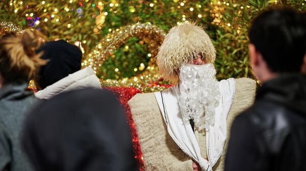 Товлис Бабу в новогодние дни у здания парламента Грузии у главной новогодней елки - Sputnik Грузия