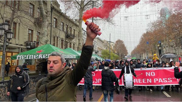 Нет зеленым паспортам: в Тбилиси прошла новая акция протеста - Sputnik Грузия