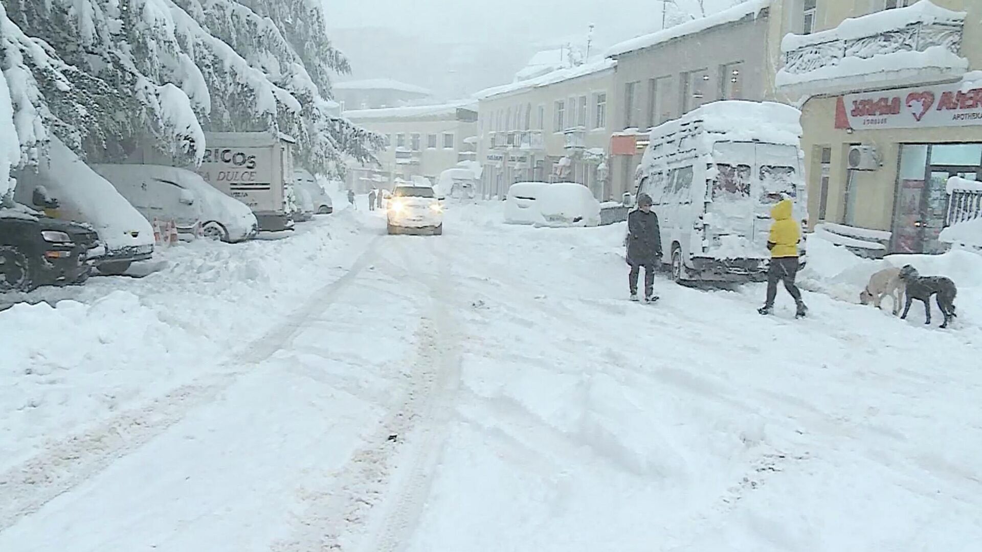 Сильный снегопад в высокогорной Аджарии, Хулойский район - Sputnik Грузия, 1920, 04.01.2022