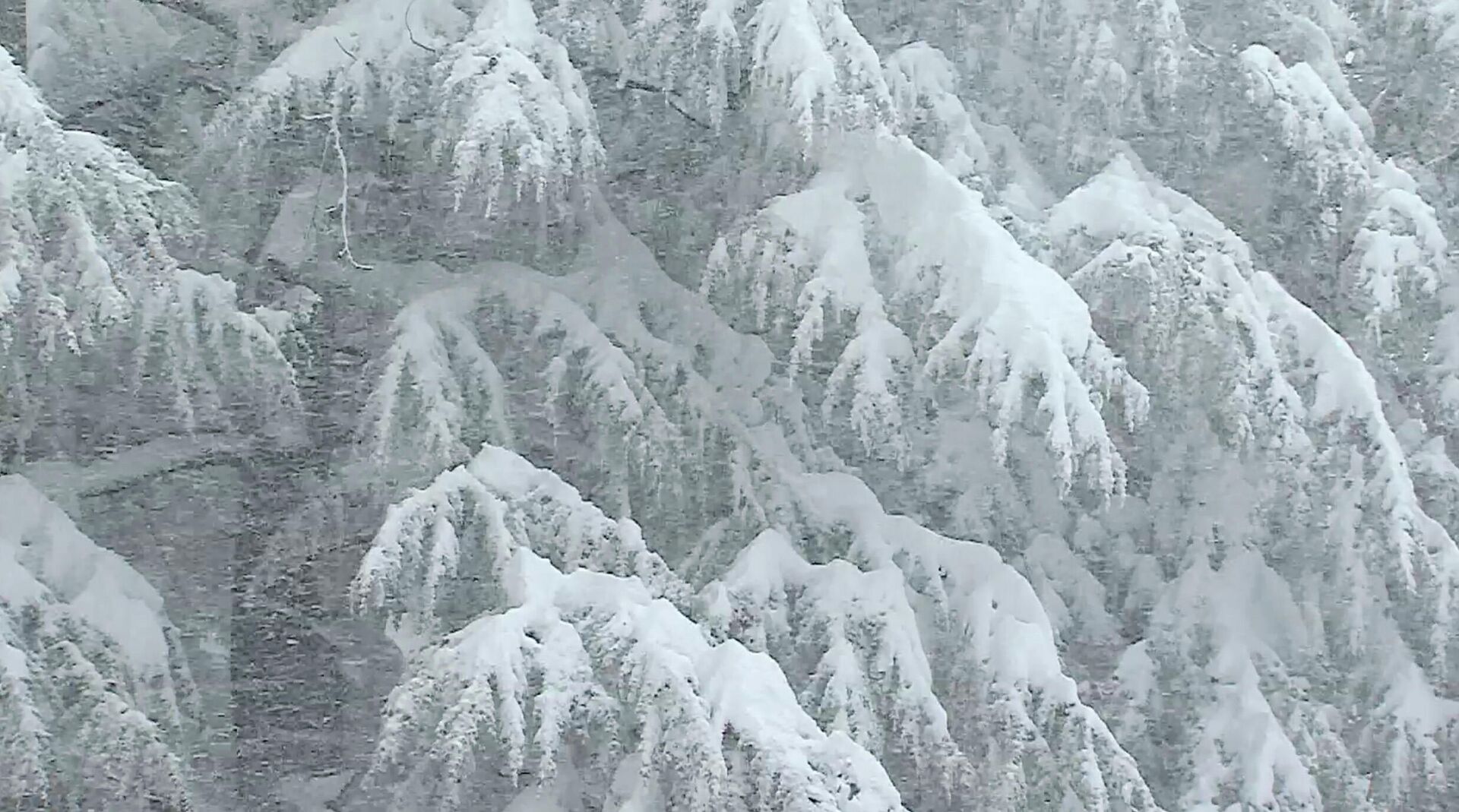 Сильный снегопад в высокогорной Аджарии, Хулойский район - Sputnik Грузия, 1920, 12.01.2022