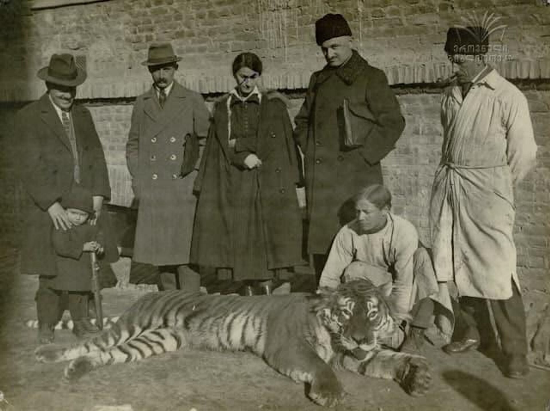 Каспийский тигр, которого убили в Грузии в 1921 году - Sputnik Грузия, 1920, 30.12.2021