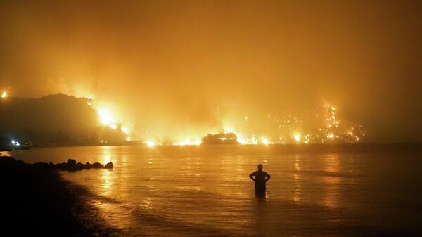 Мужчина наблюдает, как лесной пожар приближается к пляжу Кочили недалеко от деревни Лимни в Греции, примерно в 160 километрах к северу от Афин - Sputnik Грузия