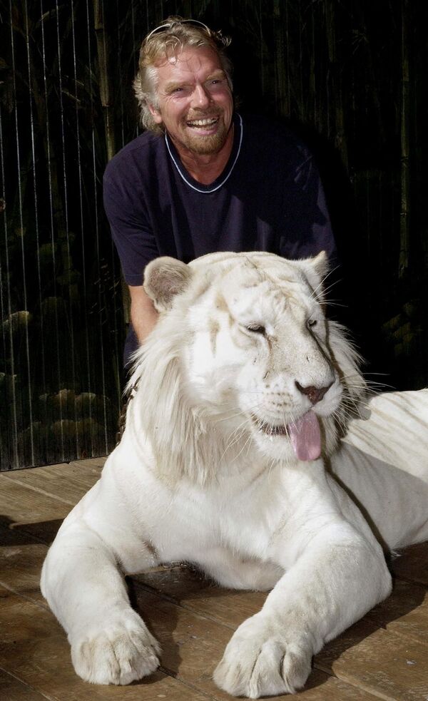 Британский магнат Ричард Брэнсон с белым бенгальским тигром, Австралия - Sputnik Грузия