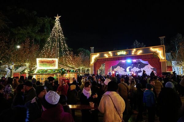 Праздничные концерты в парке Деда Эна в новогодние дни проходили почти каждый день и собирали сотни зрителей.  - Sputnik Грузия