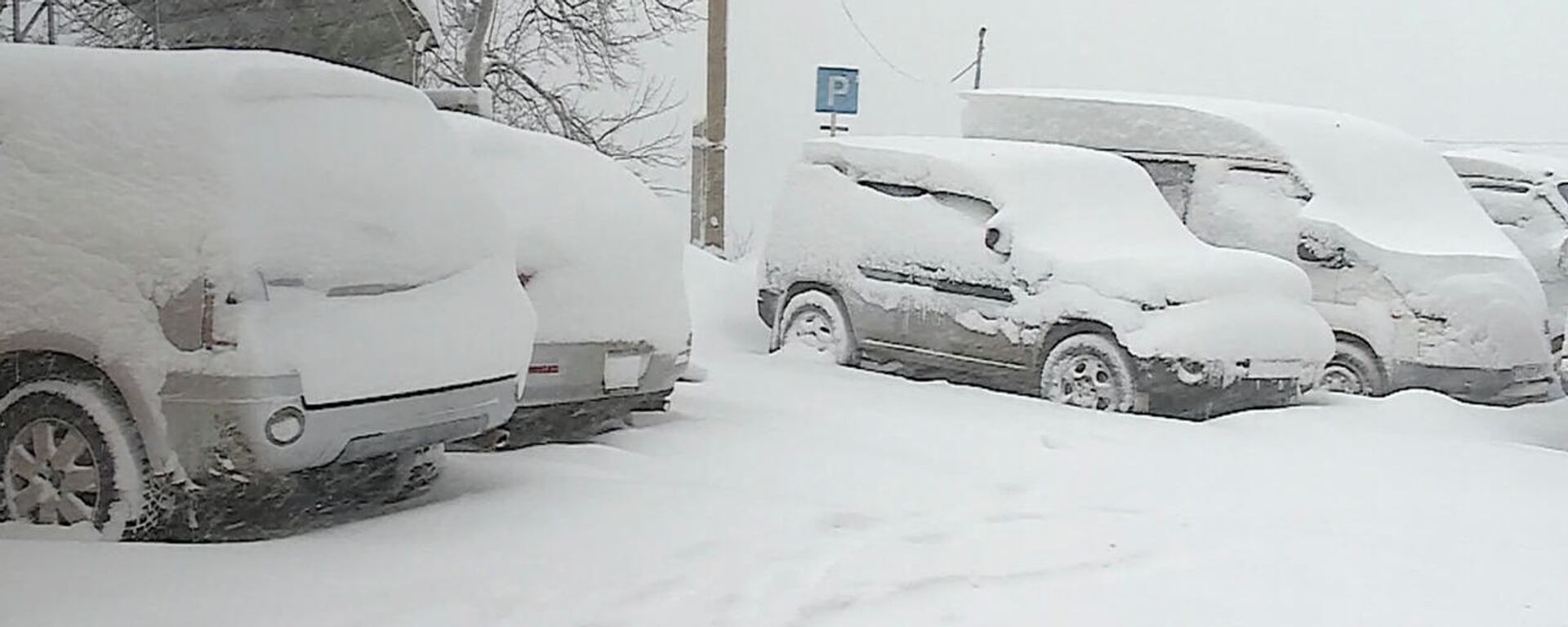 В горах Грузии сильный снегопад: как расчищают дороги от снега - видео - Sputnik Грузия, 1920, 16.01.2022