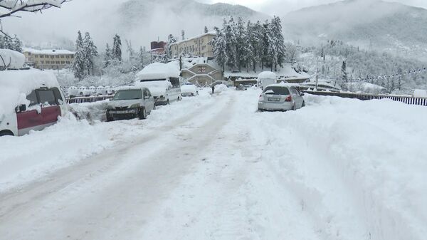 Снегопад в горной Аджарии. Зимние пейзажи. Горные села в снегу - Sputnik Грузия