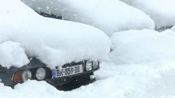 დიდთოვლობა აჭარაში - Sputnik საქართველო