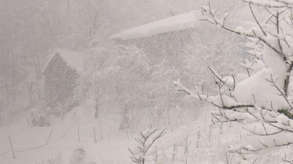 Горная Аджария в снегу: холодная зима пришла в Грузию - видео - Sputnik Грузия