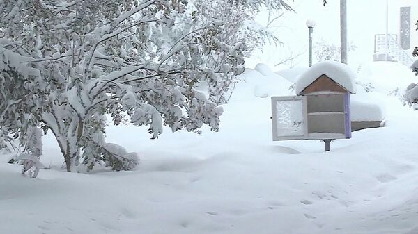 Снегопад в горной Аджарии. Район Хуло. Сугробы и мороз - Sputnik Грузия