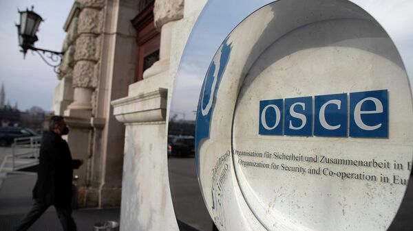 Организация по безопасности и сотрудничеству в Европе ОБСЕ - Sputnik Грузия