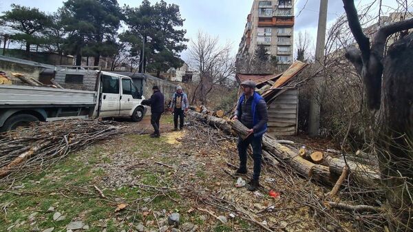 Последствия сильного ветра в Тбилиси - Sputnik Грузия