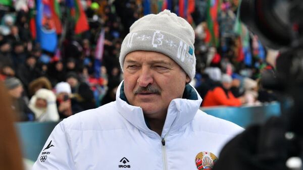 Кошки отдыхают : Лукашенко высказался о санкциях - Sputnik Грузия