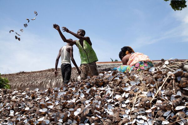 Жительница этнической группы Ассолонго, общины, получившей специальное разрешение на проживание и рыбную ловлю в Мангровом морском парке, выбрасывает пустые раковины моллюсков в Муанде, Демократическая Республика Конго - Sputnik Грузия