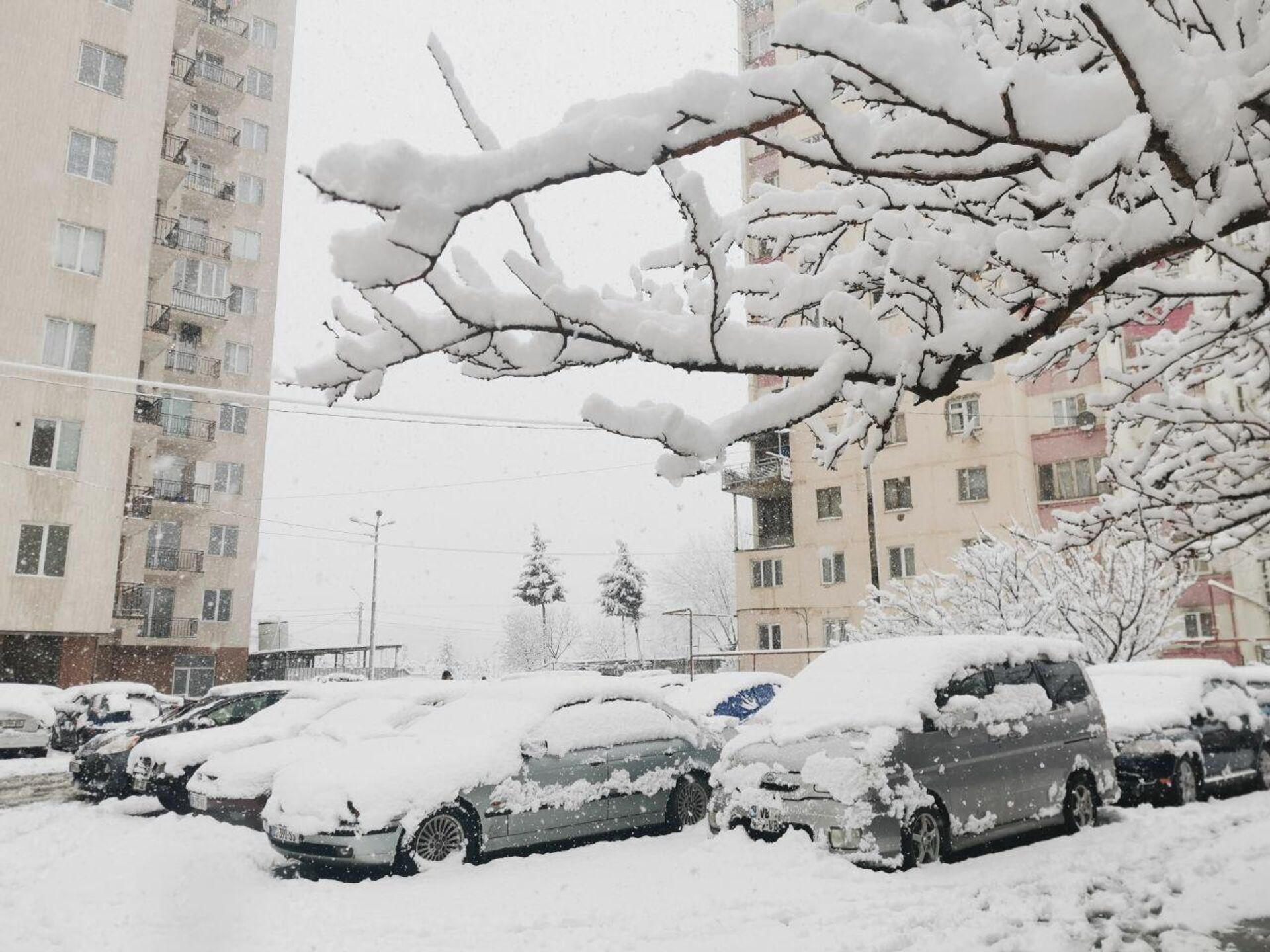 Снегопад в Тбилиси. Район Варкетили - Sputnik Грузия, 1920, 24.03.2022