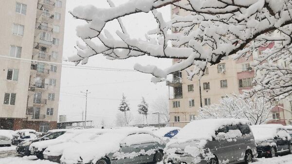 თოვლი თბილისში: გამგეობები 24-საათიან რეჟიმში მუშაობენ