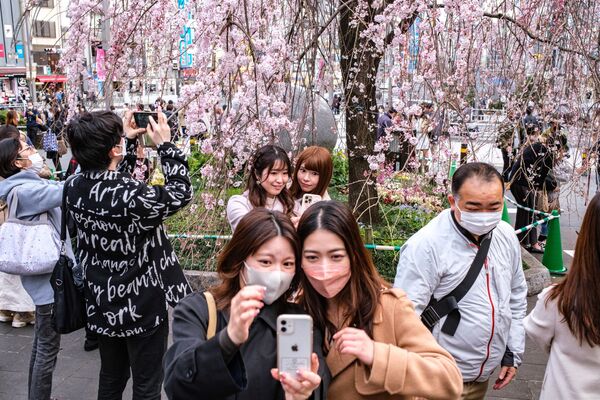 Люди фотографируются на фоне цветущей сакуры в парке Уэно в Токио - Sputnik Грузия
