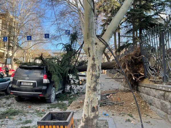 Сильный ветер средь бела дня повалил тут большие деревья, которые упали на проезжую часть и припаркованные у обочины автомобили. - Sputnik Грузия