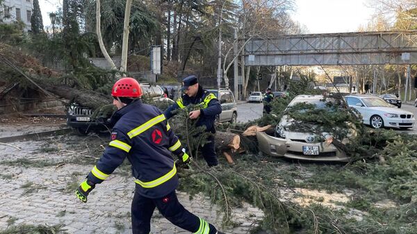Последствия и разрушения от ураганного ветра в Грузии. Поваленные деревья в районе Ваке на подъеме Варазисхеви - Sputnik Грузия