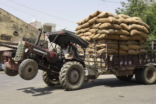 Рабочий ведет трактор, перевозя мешки с рисом в Амритсаре - Sputnik Грузия