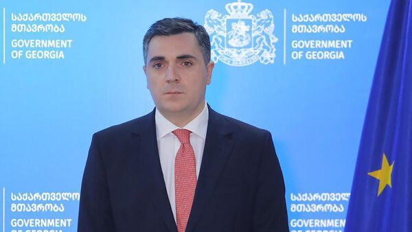 Новый глава МИД Грузии Илья Дарчиашвили - Sputnik Грузия