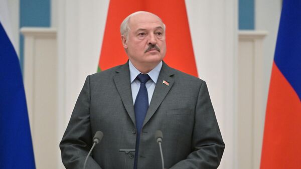 Президент РФ В. Путин провел переговоры с президентом Белоруссии А. Лукашенко - Sputnik Грузия