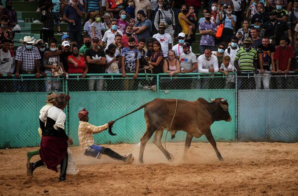 Клоуны родео пытаются отвлечь быка после того, как всадник упал во время соревнований на ярмарке скотоводов Бойерос на Международной сельскохозяйственной ярмарке Fiagrop 2022 в Гаване - Sputnik Грузия