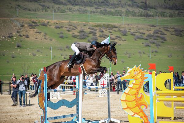 Национальная федерация конного спорта Грузии решила сделать праздник для всех любителей этого вида спортивных состязаний.  - Sputnik Грузия
