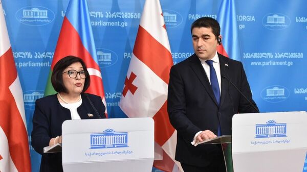 Председатель парламента Шалва Папуашвили с азербайджанским коллегой Сагибой Гафаровой - Sputnik Грузия