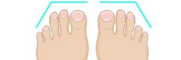 რომაული ტერფები - Sputnik საქართველო