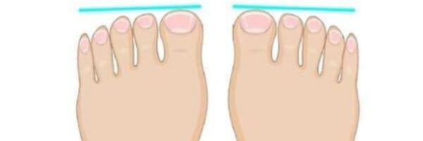 გლეხური ტერფები - Sputnik საქართველო