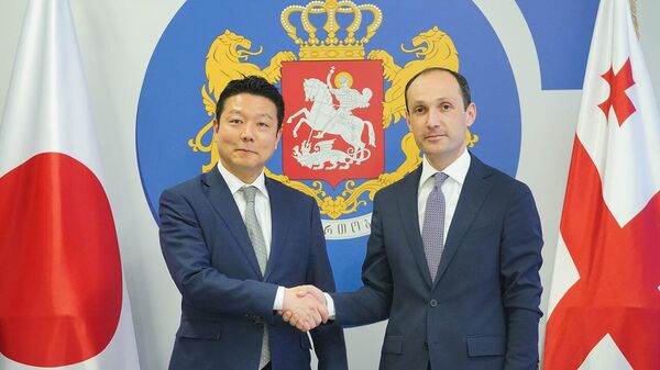 Встреча министра экономики Грузии Левана Давиташвили с замминистра иностранных дел Японии Хондой Таро - Sputnik Грузия