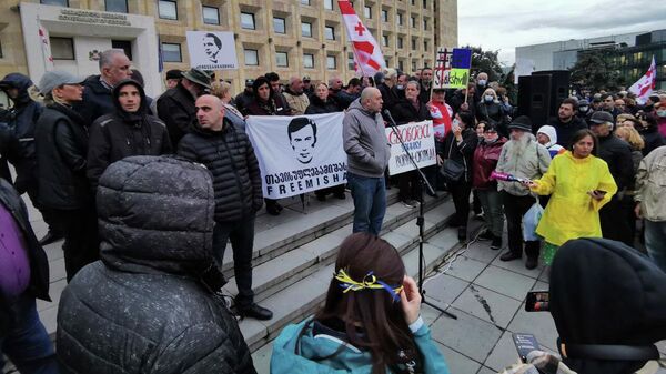 Сторонников Саакашвили задержали на акции протеста в центре Тбилиси - Sputnik Грузия