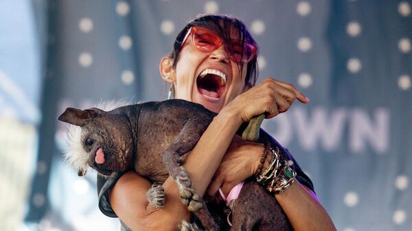 Победитель конкурса Самая уродливая собака в мире пес по кличке Mr. Happy Face с хозяйкой, Петалума, США - Sputnik Грузия