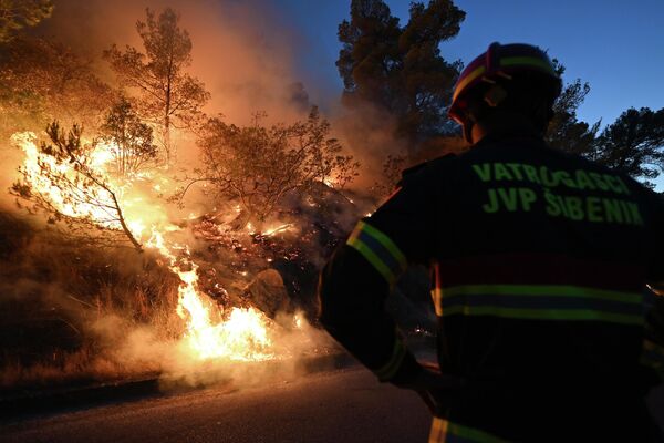 Глава федерации пожарных Франции Грегори Альионе заявил, что мир уже испытывает последствия изменений климата. &quot;Их не в 2030 году надо ждать - они происходят уже сейчас&quot;, - подчеркнул он. На фото - лесной пожар в Хорватии - Sputnik Грузия