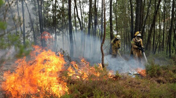 Лесные пожары в Европе. Огонь и дым в лесу в центральной Португалии - Sputnik Грузия