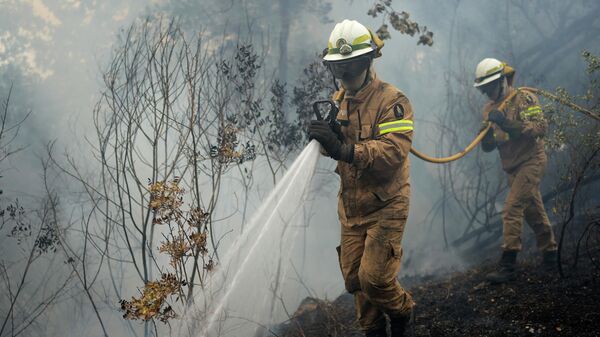Лесные пожары в Европе Пожарные ликвидируют очаги возгорания в лесу - Sputnik Грузия