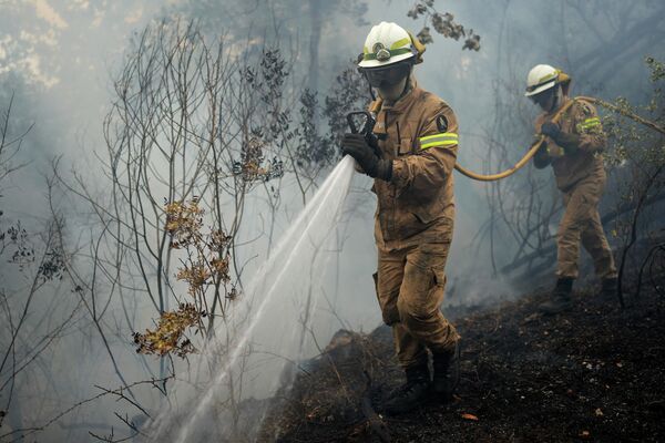 Жертвами пожаров и аномальной жары стали уже сотни человек. На фото - сотрудники национальной пожарной охраны ликвидируют очаги возгорания в лесах центральной Португалии - Sputnik Грузия