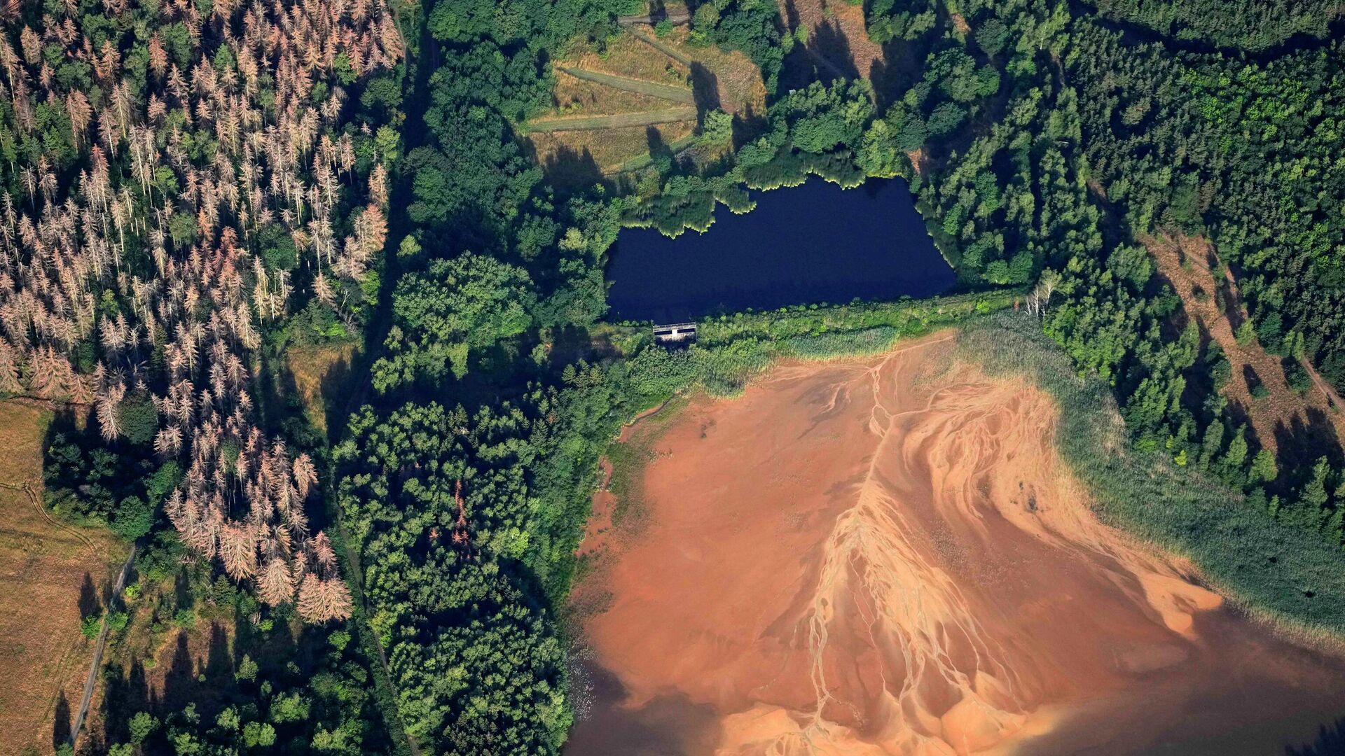 Голые деревья вокруг озера Больрих в разрушенном лесу Гарц недалеко от Гослара, Германия - Sputnik Грузия, 1920, 02.08.2022