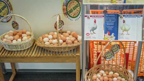 Сельскохозяйственная продукция - куриные яйца - Sputnik Грузия