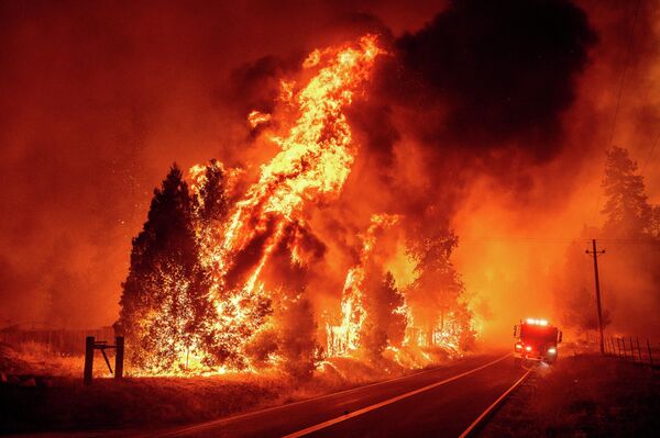 В Калифорнии объявлено чрезвычайное положение из-за масштабного лесного пожара - Sputnik Грузия