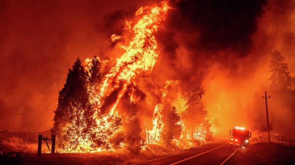 Лесной пожар в Калифорнии  - Sputnik Грузия