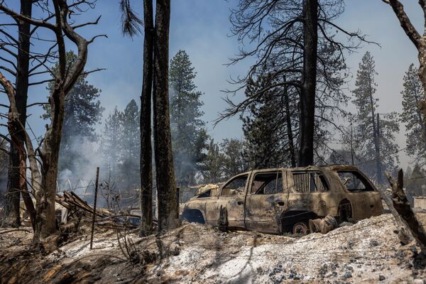 По оценке пожарных, пламя уничтожило 57 квадратных километров лесных насаждений - Sputnik Грузия